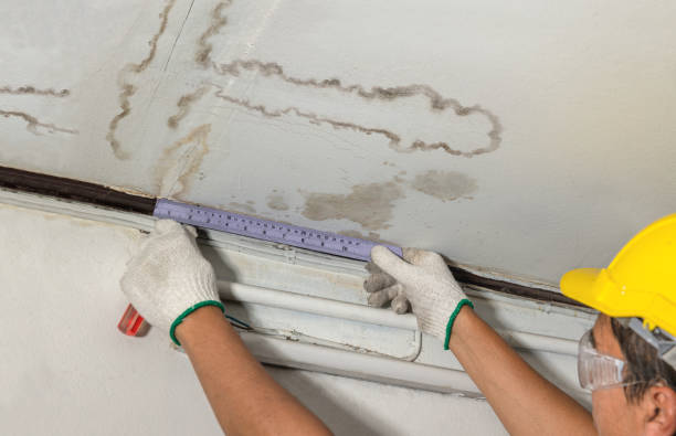 Affordable Water Damage Repair solutions in Wellman, IA